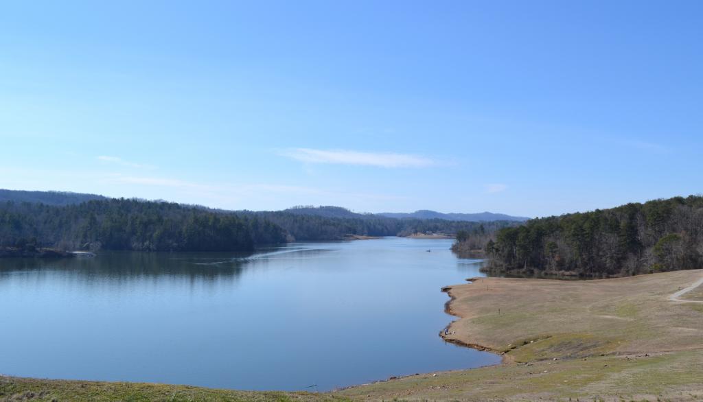W. Kerr Scott Reservoir Fish Dam Creek Kids in Parks